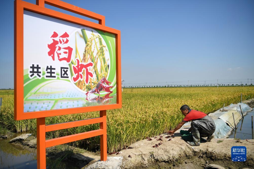菲娱2区